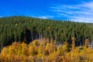 Fototapeta na wymiar Landscape with forest in many colors on the hill in autumn