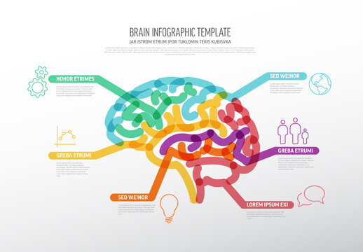 Multipurpose Thick Line Infographic Layout with Human Brain