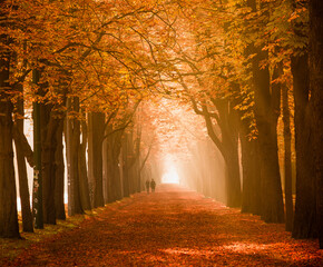 autumn in the park