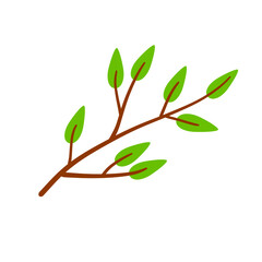 Branch with green leaves. Plant design. Element of wood and nature. Flat simple illustration