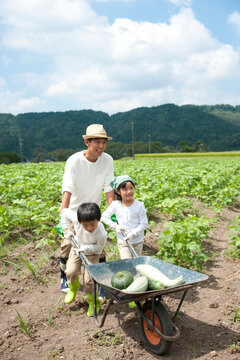 作物を乗せた１輪車を押す子供男女と父