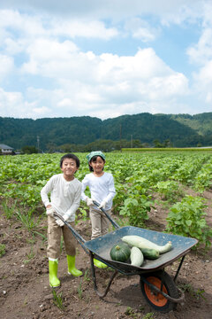 作物を乗せた１輪車を押す子供男女