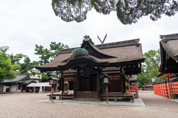 Fototapeta premium [大阪府]住吉大社境内（第二本宮幣殿）