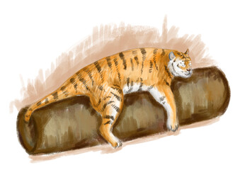 tiger lies and sleep. Digital illustration. New year illustration