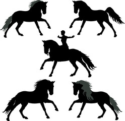 a set of different silhouettes of a galloping horse and a horsewoman isolated on a white background 