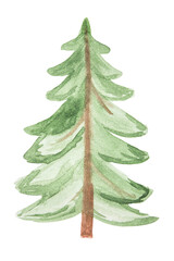 Hand-drawn watercolor green Christmas tree isolated on white background.