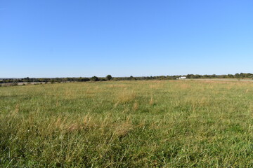 Fototapeta premium Field