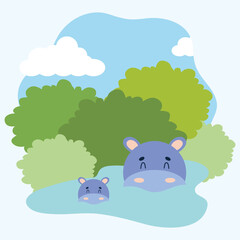 cute hippos in water