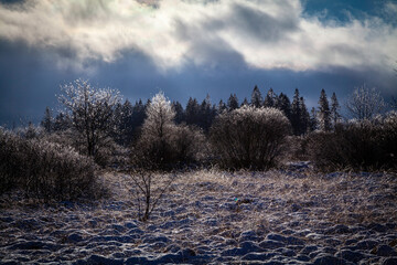 Winterlandschaft mit Raureif und Schnee.