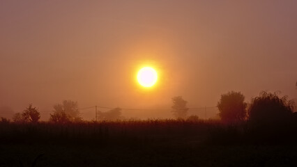 Foggy sunrise over field with trees in the Romanian countryside 