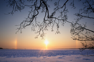 Sun dog halos on both sides of the sun. Cold winter landscape with frozen lake. Tree branches hanging in the foreground.