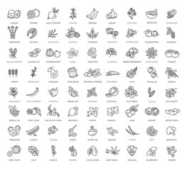 Superfoods line vector icons. Vector Organic superfoods