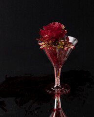 Bloody Rose in a cocktail glass.