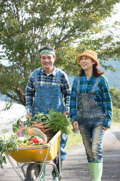 収穫した野菜を一輪車で運ぶ中高年夫婦