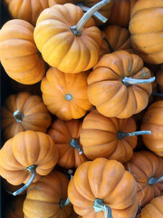 High angle close-up view of fresh small orange pumpkins displayed for sale at a grocery market