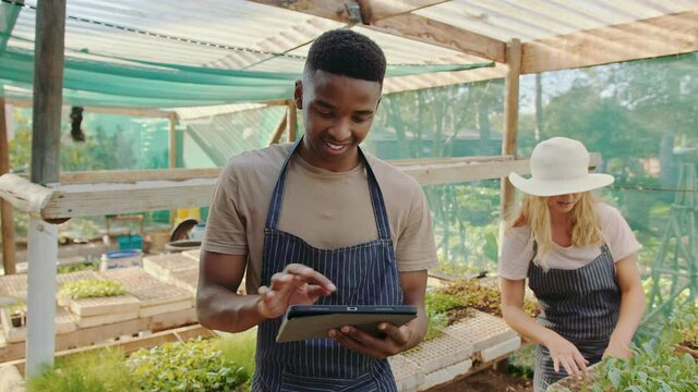 African American male and female farmers working in greenhouse typing on digital tablet