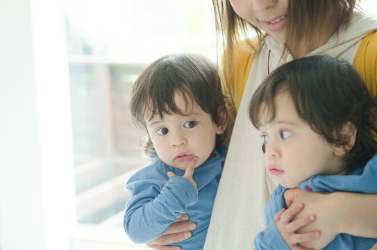 抱っこされている双子の男の子たち
