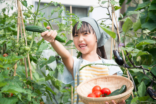 収穫した野菜を持っている女の子