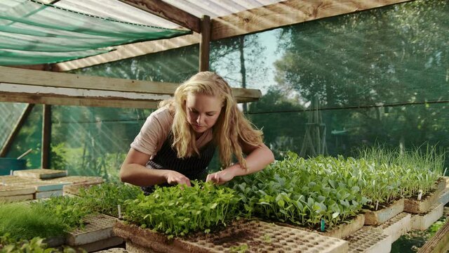 Caucasian female gardening in greenhouse