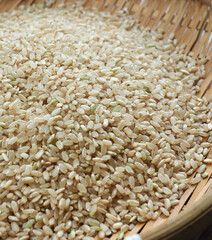 한국의 유기농 곡식 현미