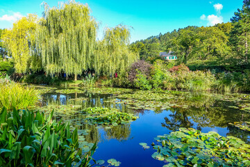 Fototapeta premium Pond view at Monet's Gardens