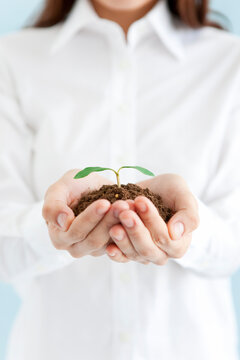 双葉を手に乗せている女性