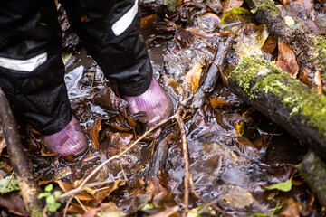 Children's feet in rubber boots and water-repellent pants on a forest stream flowing among logs overgrown with moss with fallen autumn leaves. Autumn mood, seasonal protective clothing.