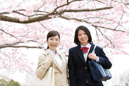 桜の下のビジネスウーマンと女子高生