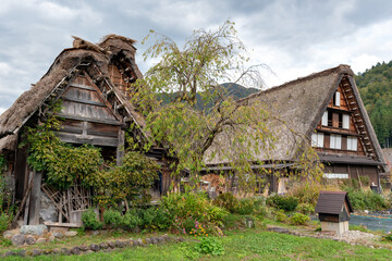 Plakat Traditional Japanese house with thatched roof in Shirakawago, Gifu, Japan