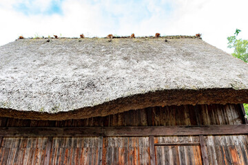 Traditional Japanese house with thatched roof in Shirakawago, Gifu, Japan
