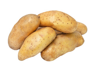 Heap of potato tubers isolated