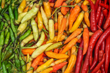 Tipe of pepper food background