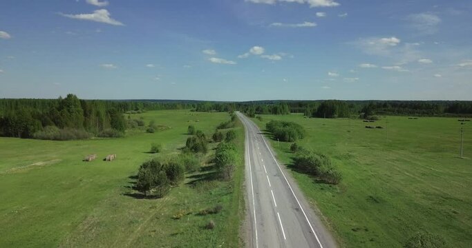 Summer Season Aerial View Of Countryside Road With Beautiful Forest On Horizon. Summer Season Green Grasslands With Road Leading To Horizon. Road Near Rural Summer Season Landscape Horizon Scenery