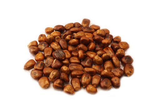 roast corn kernel isolated on white background
