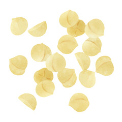 マカダミアナッツの手描きイラスト