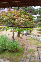 Obraz premium Traditional Japanese garden in Takayama Jinya in Gifu, Japan in autumn