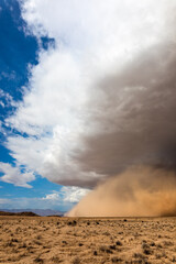 Haboob dust storm in the Mohave desert
