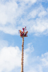 Mexicans preparing the flying papantla dance over a trunk