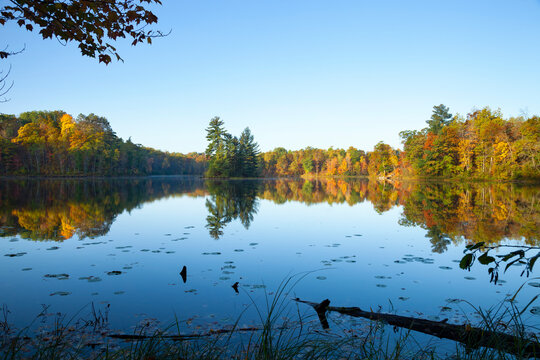 Calm lake wide view with an island and trees in autumn color at dawn