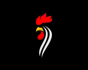 Abstract rooster head in the black background
