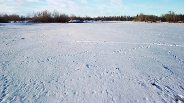 Aerial of animal tracks in the snow