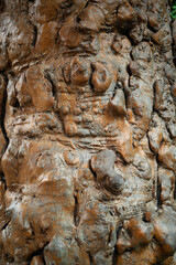 Sculpture of bark of tree. The texture of bark. Seamless tree bark background. Brown texture of the old tree..