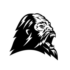 Mascot illustration of  head of angry Bigfoot or Sasquatch, an ape-like creature purported to inhabit the forests of North America viewed from side on isolated background black and white retro style.