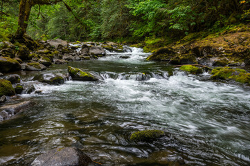 Salmon River cascades in Oregon