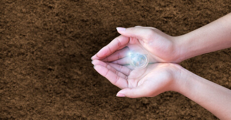The environment in the hands holding light bulbs that grow in the concept of energy and  solar in nature. Ecology concept.World conservation concept.