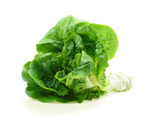 Fototapeta premium Green butter lettuce vegetable or salad isolated on white background