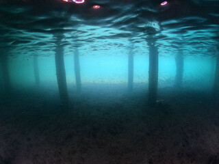 Underwater world of Mediterranean Sea. Near Marmaris, Turkey