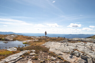 A male hiker walking Trophy Mountain hike in the meadows of Wells Gray Provincial Park near Clearwater, BC. Beautiful alpine meadows in the summer in the mountains