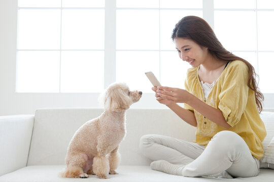 スマートフォンで犬の写真を撮る女性