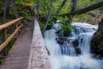 Shuswap Lake Provincial Park - Marine Site - Albas Falls. Powerful cascading waterfall in May, green lush cedar forest, hiking area. Wooden bridge, long exposure of the flow
